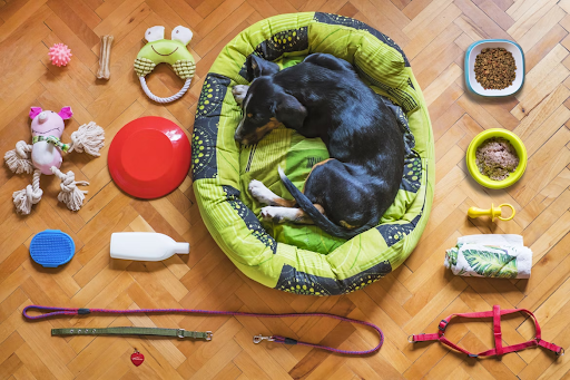 How Often Should You Clean Your Dog’s Bed and Toys?